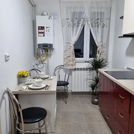 Casa Elena Apartment Lupeni (Hunedoara)